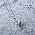 Celeste Zodiac Necklace | 925 Silver & Moissanite