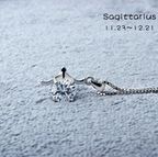 Celeste Zodiac Necklace | 925 Silver & Moissanite
